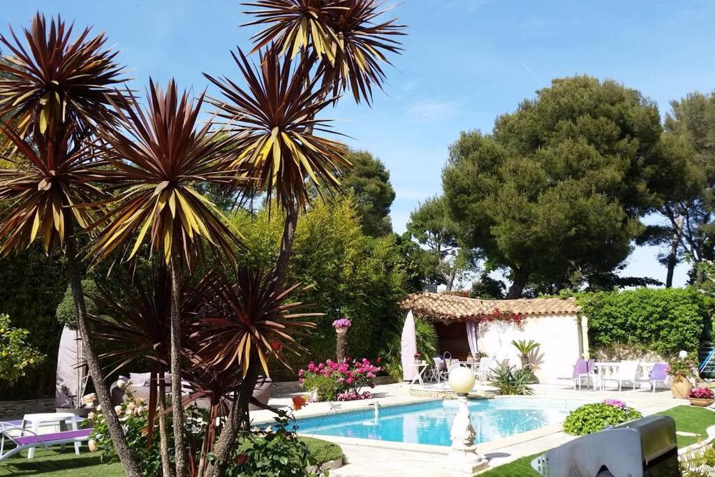 Studio Dans Villa De Charme, Piscine, Proche Plage Cassis Eksteriør billede